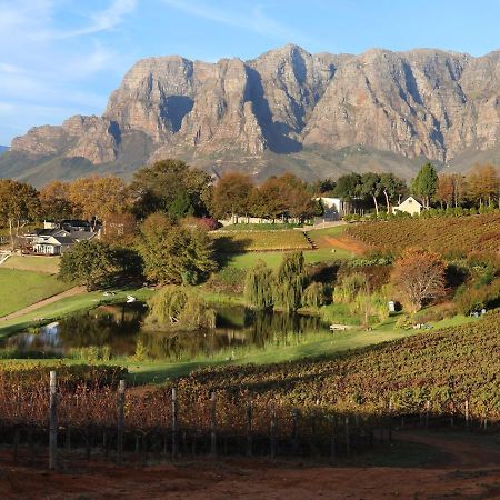 Alluvia Boutique Winery & Luxury Accommodation Stellenbosch Kültér fotó The Paarl Mountain Range