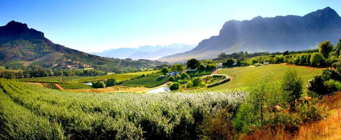 Alluvia Boutique Winery & Luxury Accommodation Stellenbosch Kültér fotó The Paarl Wine Route