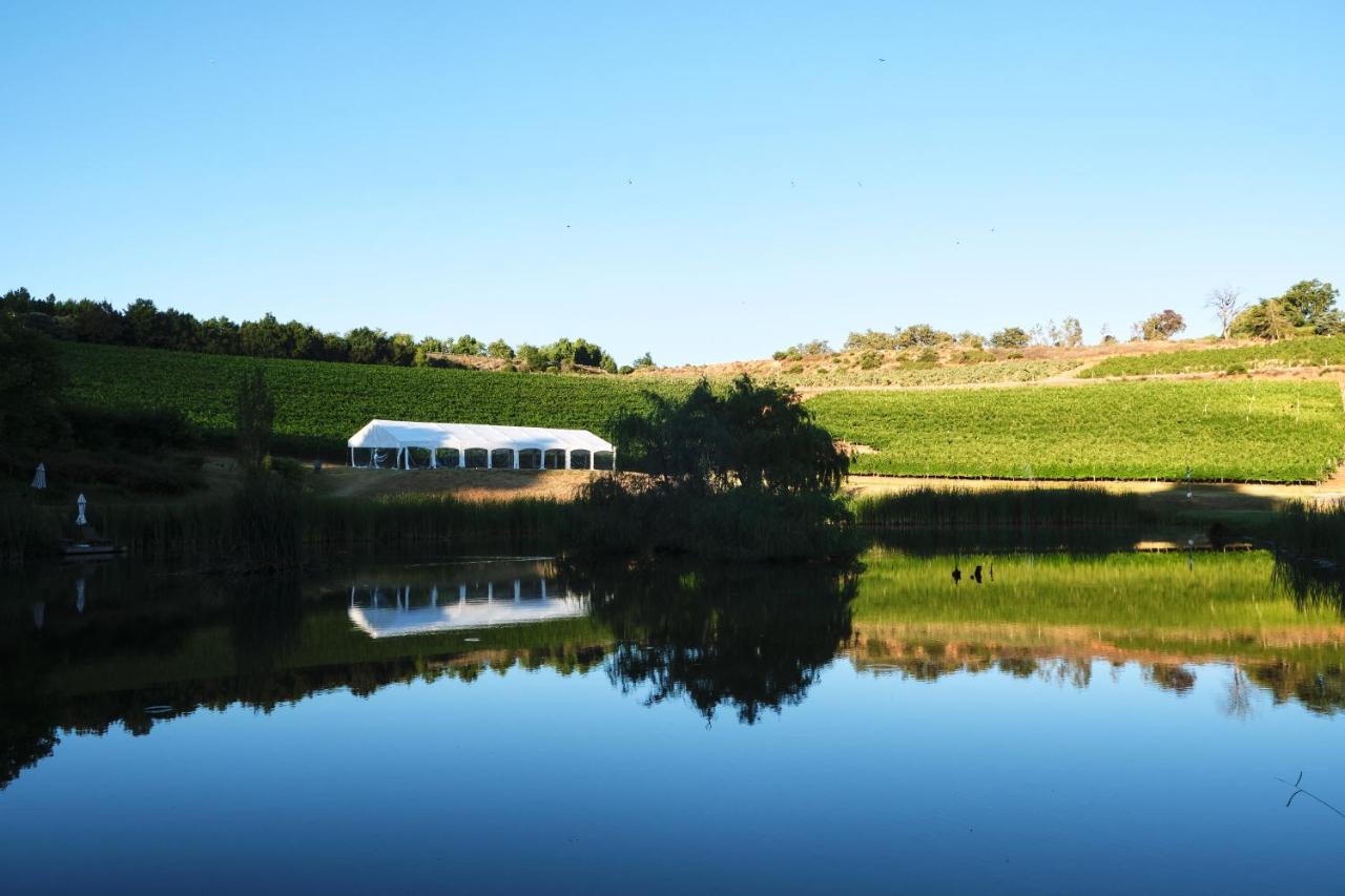Alluvia Boutique Winery & Luxury Accommodation Stellenbosch Kültér fotó The vineyard at the winery