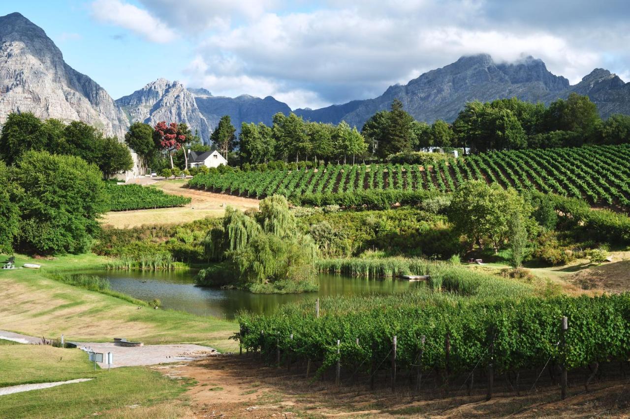 Alluvia Boutique Winery & Luxury Accommodation Stellenbosch Kültér fotó Wine estate in Stellenbosch