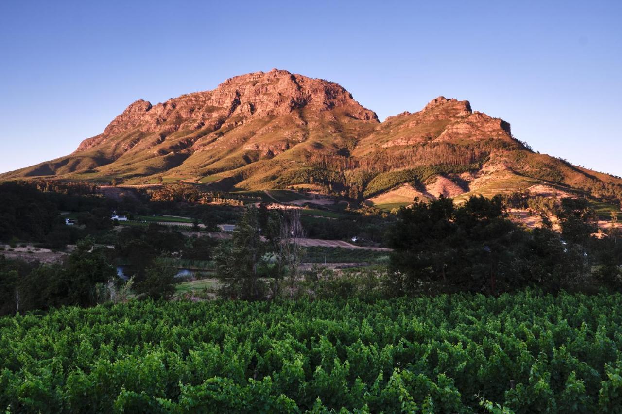 Alluvia Boutique Winery & Luxury Accommodation Stellenbosch Kültér fotó The Paarl Mountain