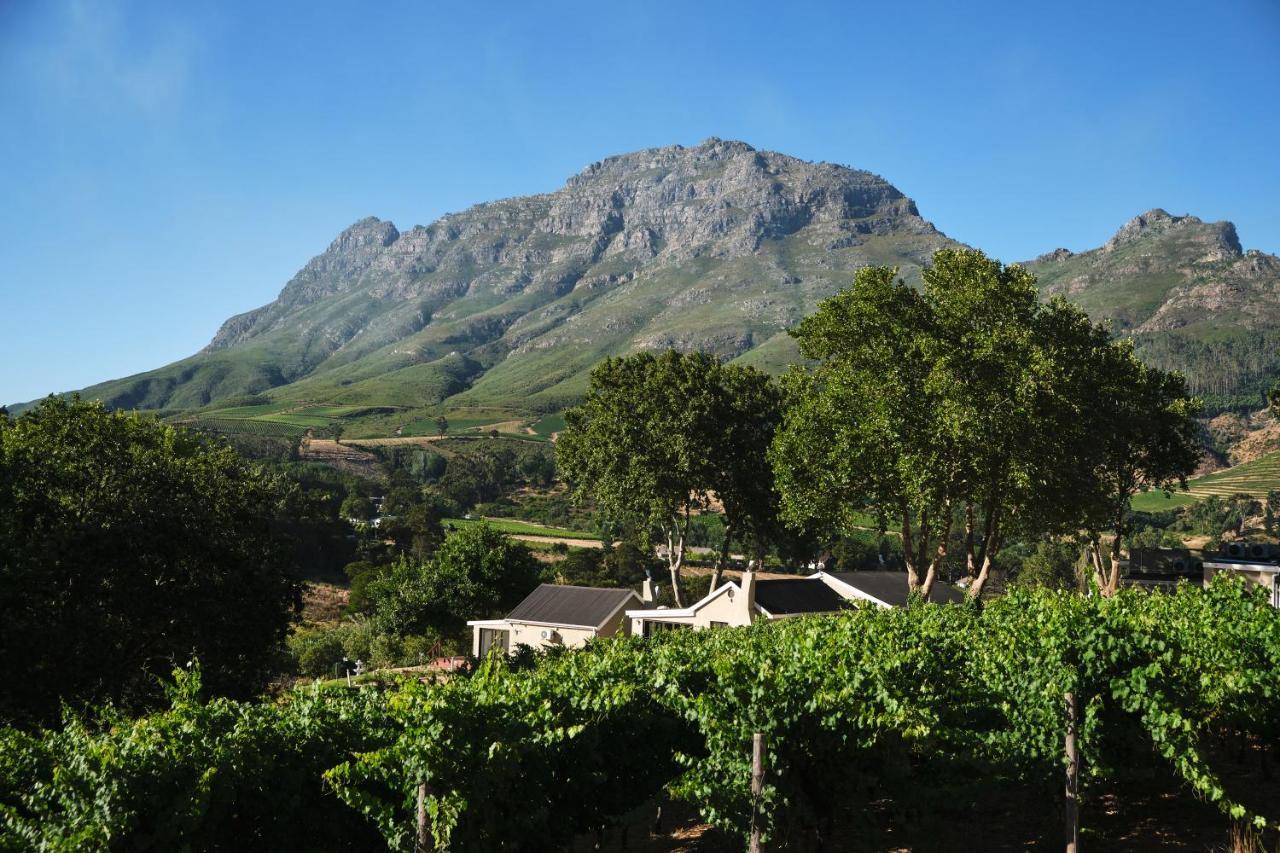 Alluvia Boutique Winery & Luxury Accommodation Stellenbosch Kültér fotó Wine estate in Stellenbosch