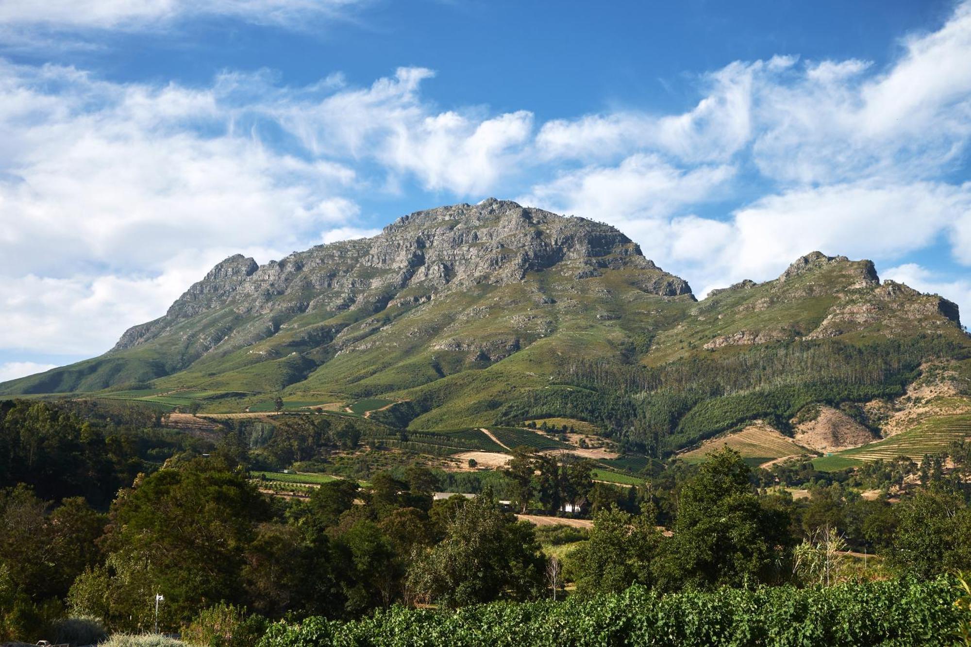 Alluvia Boutique Winery & Luxury Accommodation Stellenbosch Szoba fotó The Helderberg