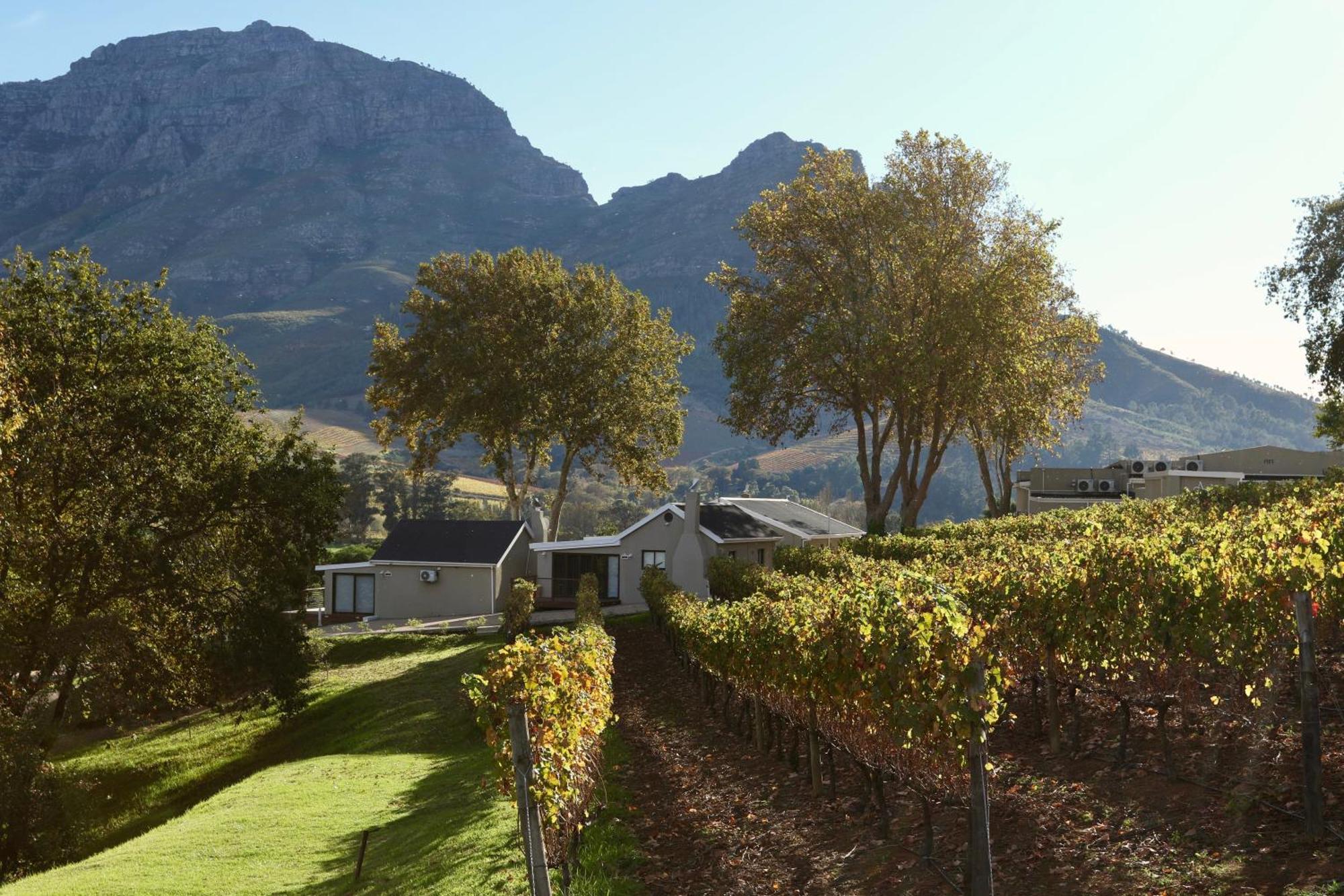 Alluvia Boutique Winery & Luxury Accommodation Stellenbosch Szoba fotó Wine estate in Stellenbosch