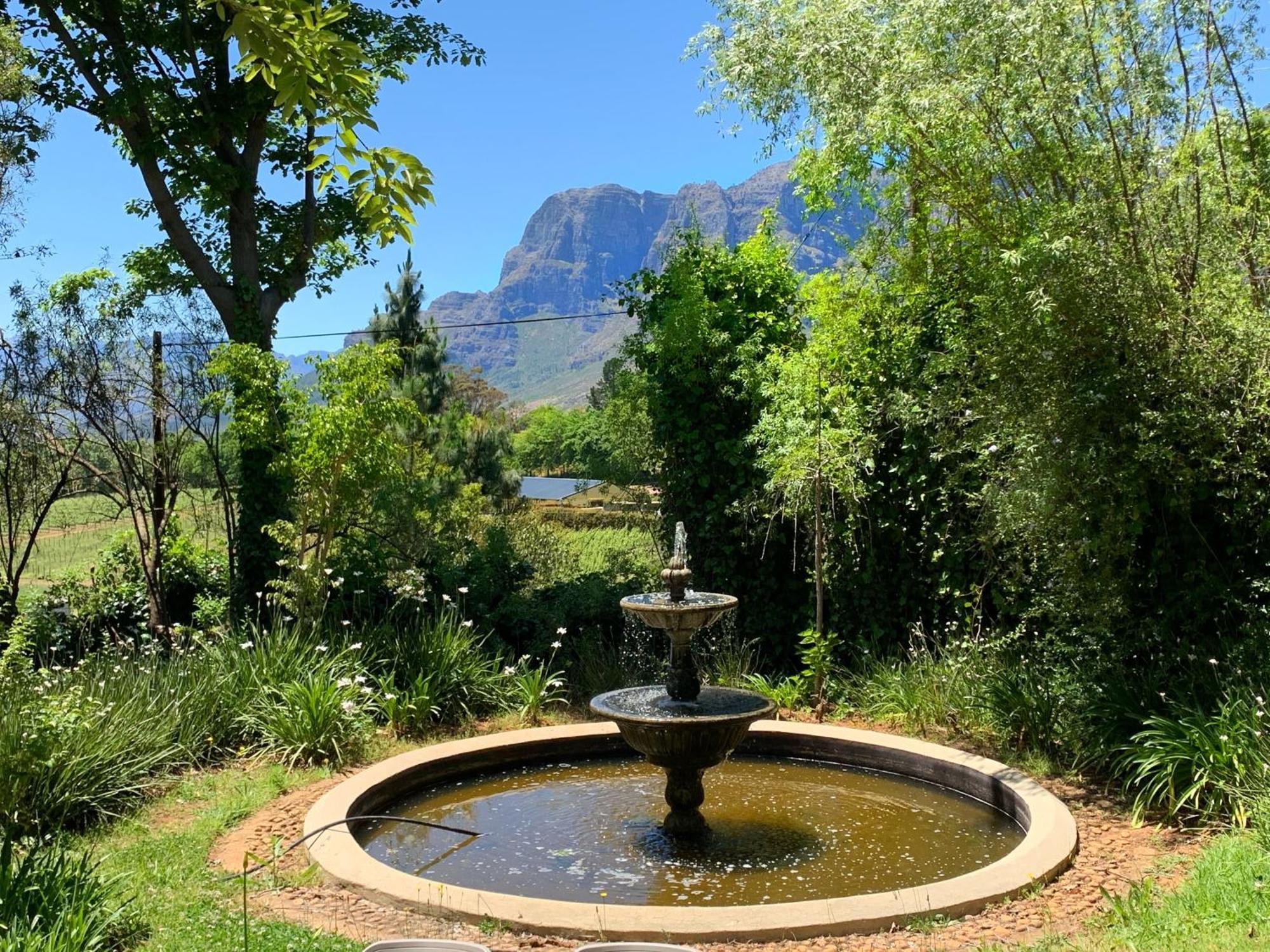 Alluvia Boutique Winery & Luxury Accommodation Stellenbosch Szoba fotó Fountain at the entrance of the Tokai Arboretum